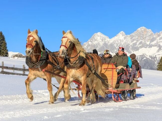 Schlittenfahrt durch den Schnee
