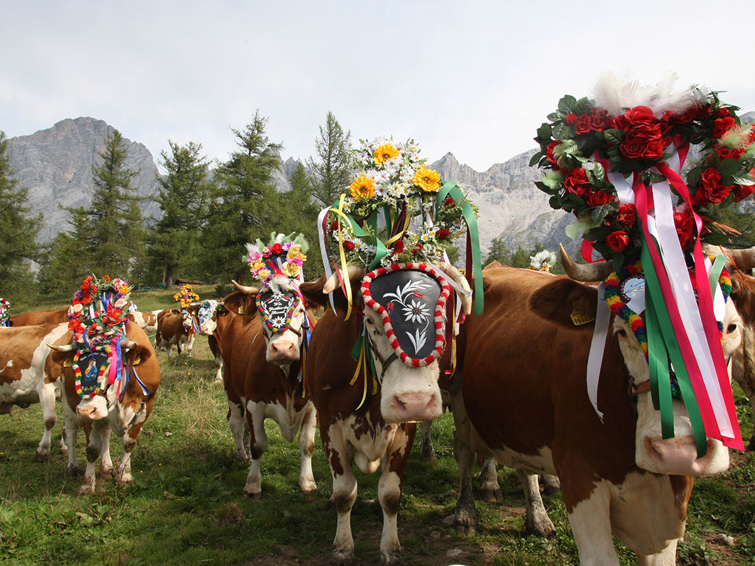 traditioneller Almabtrieb in der Ramsau